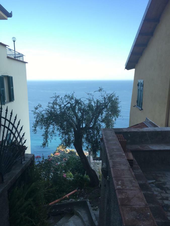 House In Grimaldi. Spectacular View Over The French Riviera! Grimaldi  Exteriér fotografie